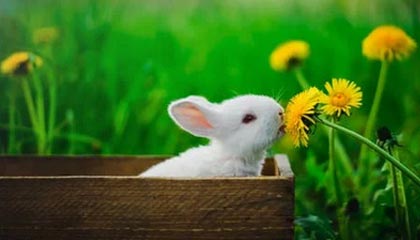 kaiyun中国官方网站-扎马莱克与阿尔阿赫利体育俱乐部达成合作协议，阿扎尔合同