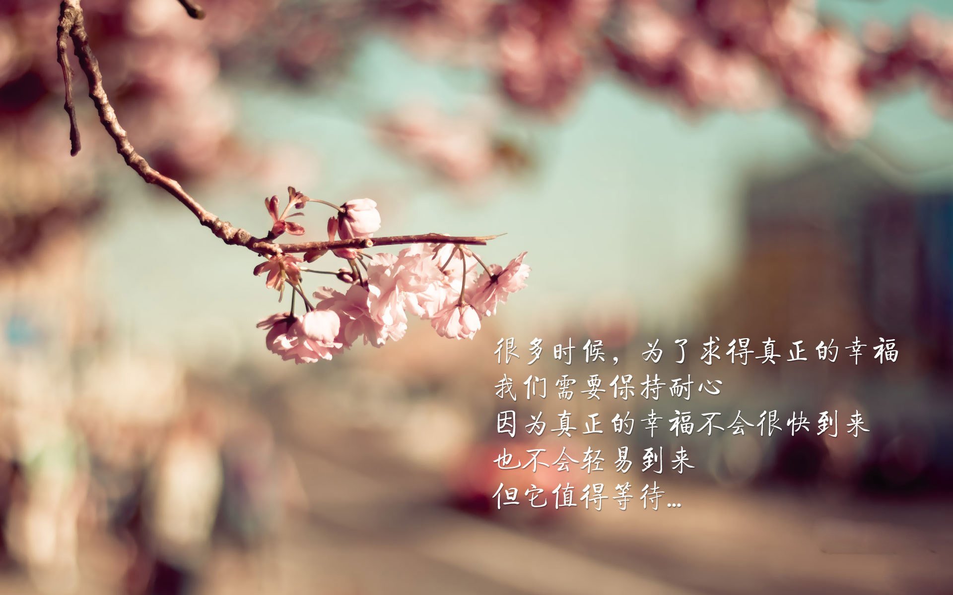 中国足球国际比赛影响力逐步扩大,品牌价值不断提升,中国国家足球队的比赛