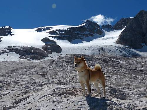 城市夜空跑,灯光点缀的运动盛会,城市夜晚灯光