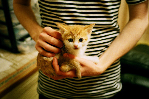 比分逆转:北京战术调整奏效,反败为胜!,北京单场即时比分360