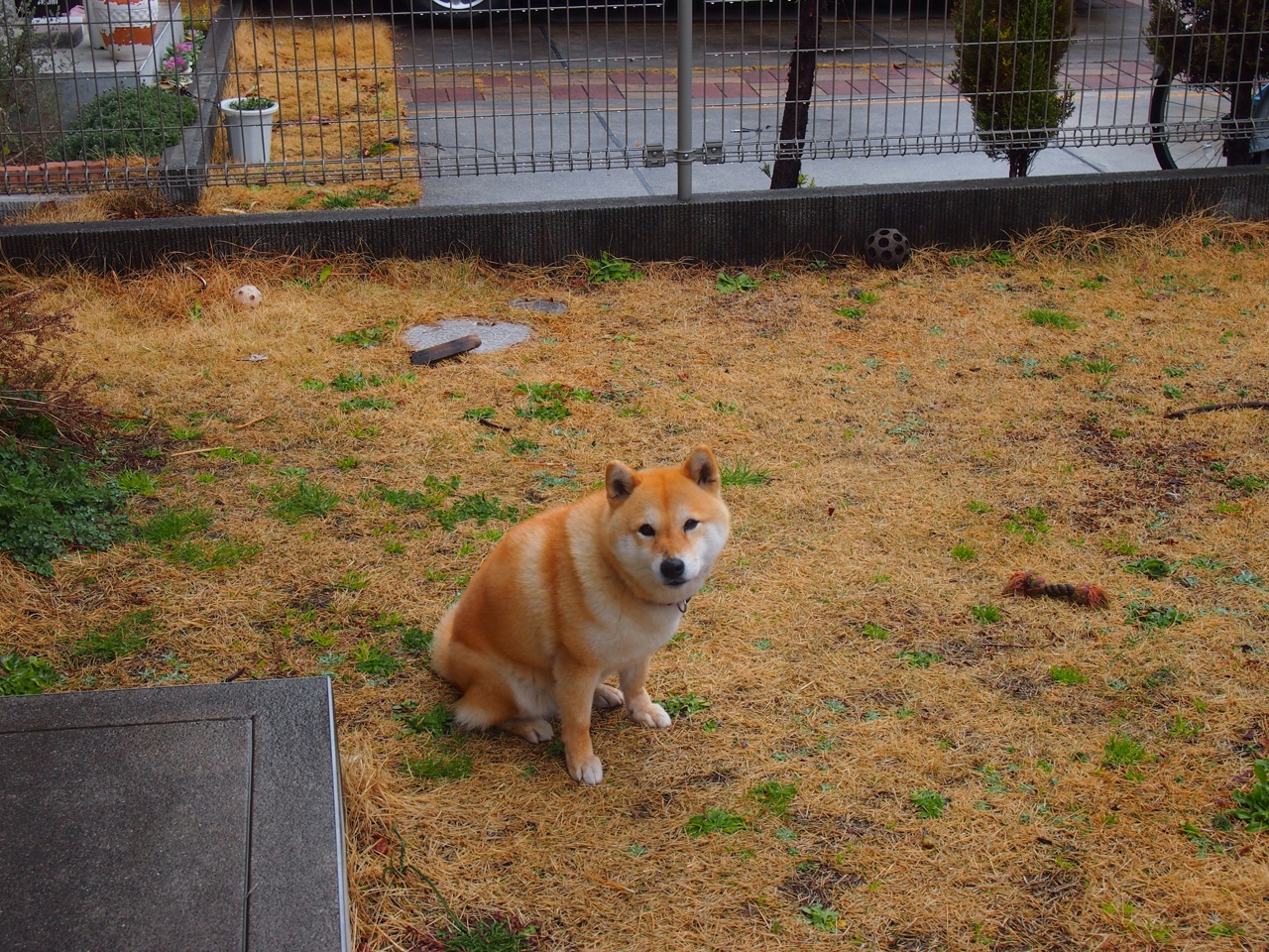 皇马快反战术高效,屡屡制造威胁,皇马反击从现在开始