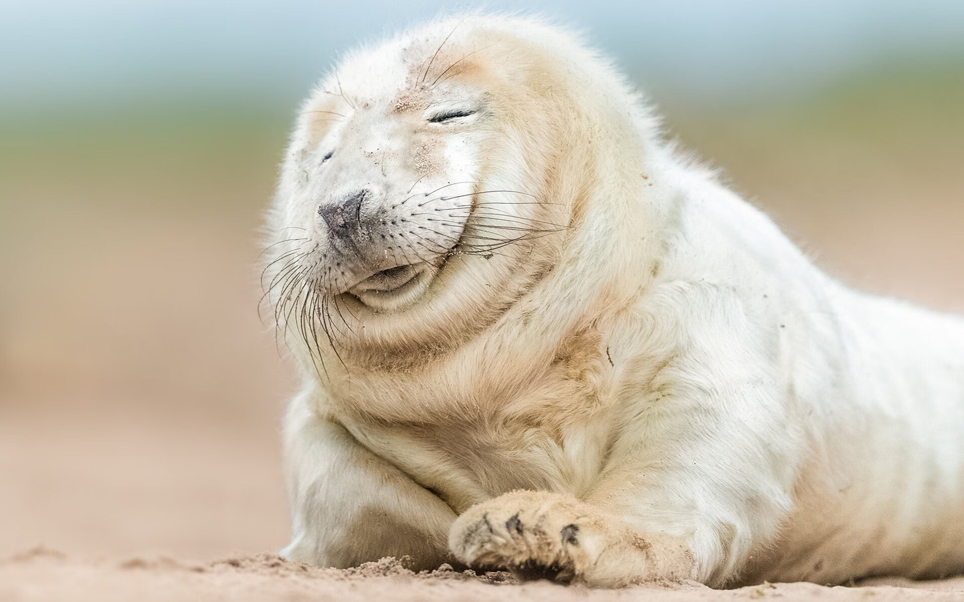 kaiyun网站-英超底部球队奋起直追，保级大战白热化，英超最低保级分