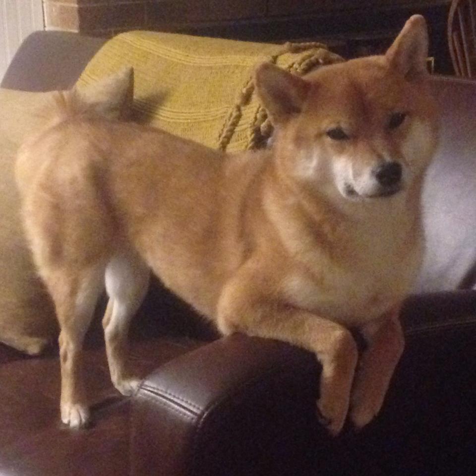 赛季总结:球队表现最佳和最差的对比,球队实力分析