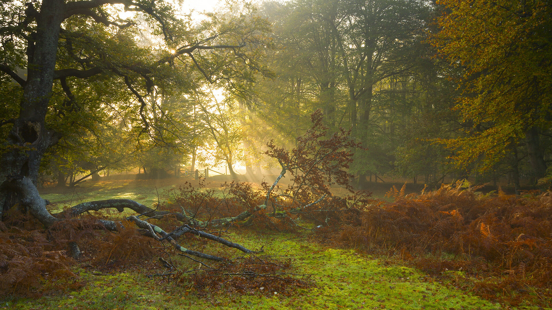 开云·体育官网APP下载-J联赛川崎前锋横滨水手积分榜竞争，川崎前锋 横滨水手