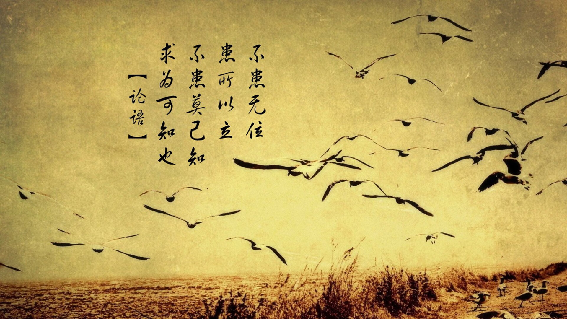 开云官方-亚洲杯赛事精彩纷呈，球迷热情高涨，亚洲杯正式比赛