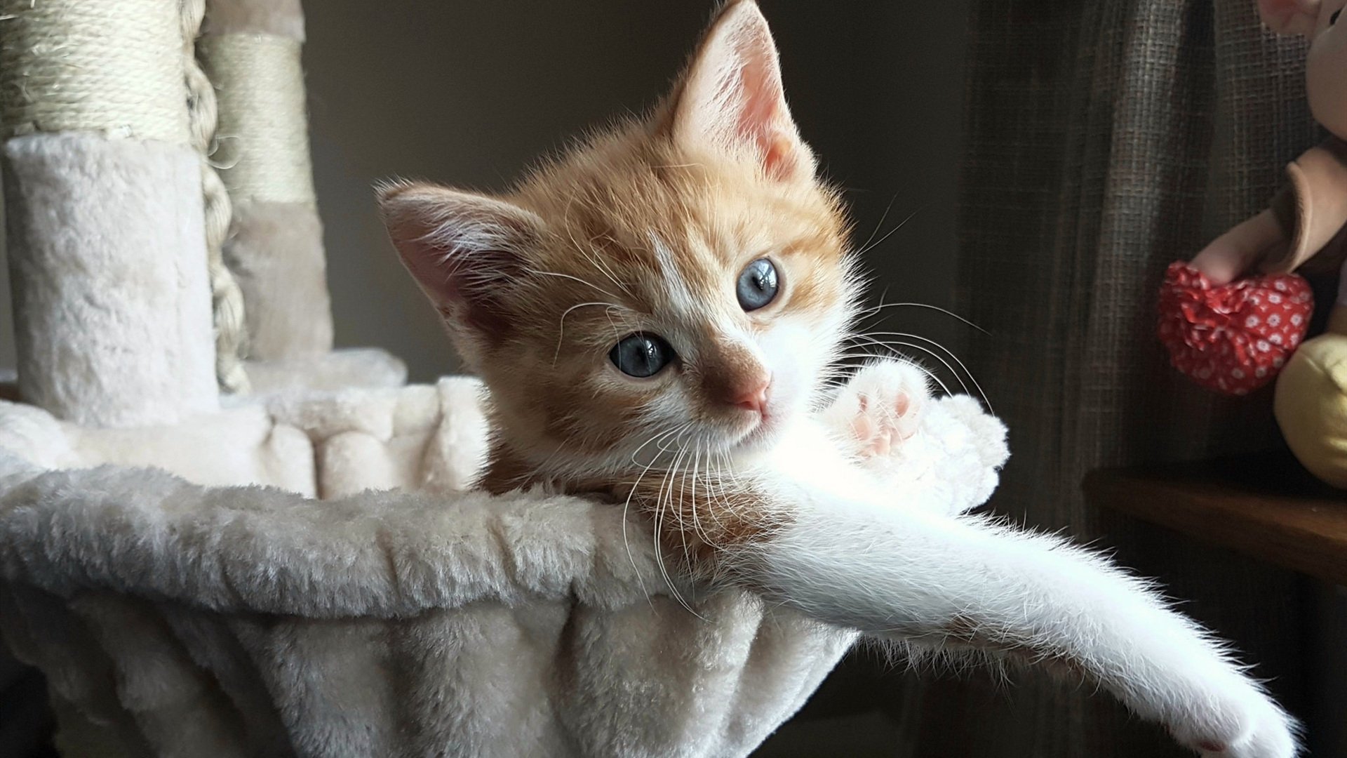 亚眠客场力克图卢兹,取得三连胜,亚眠对敦刻尔克赛事分析